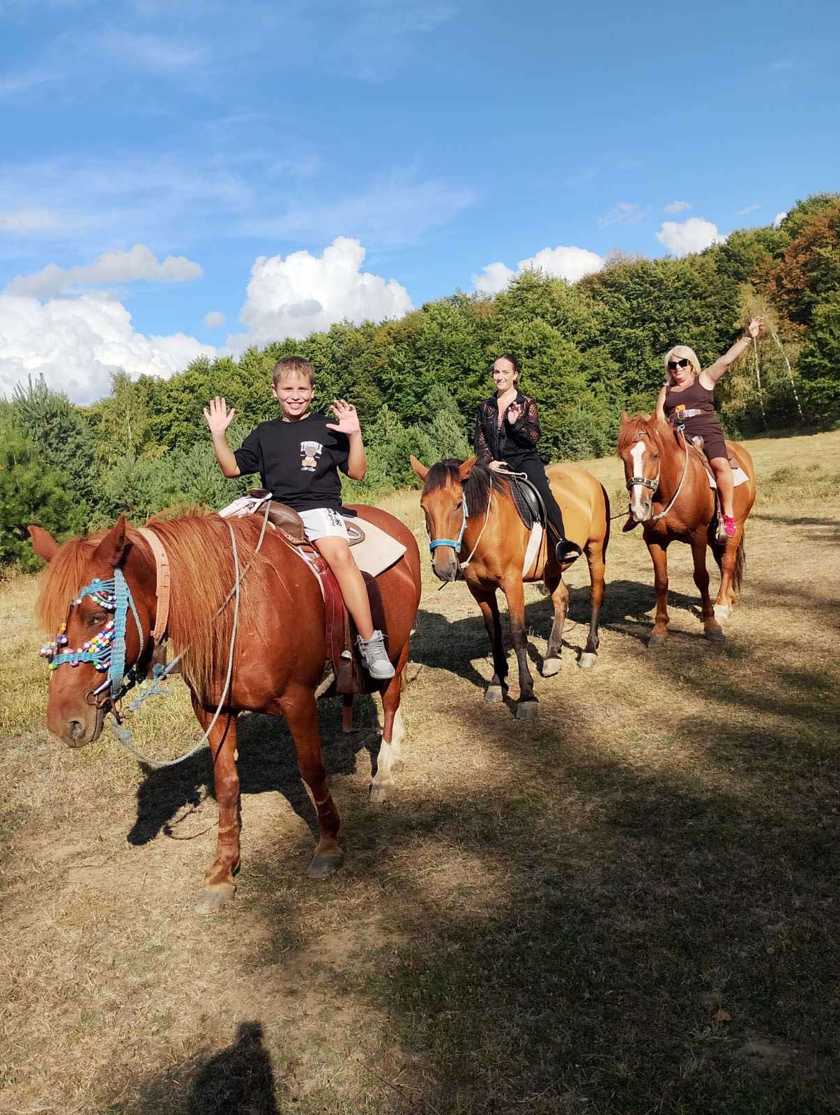 Нови моменти од јавање на Калин Камен