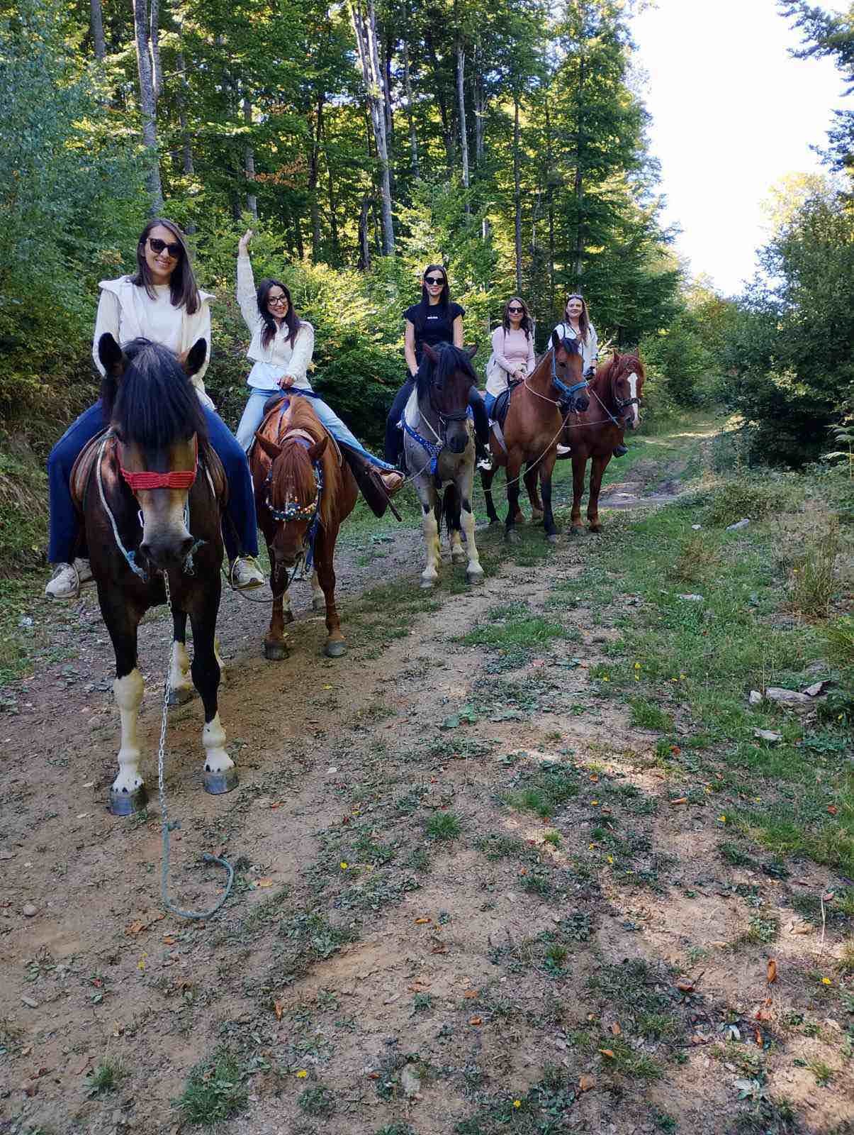 Нова фотографија од авантурата со коњи
