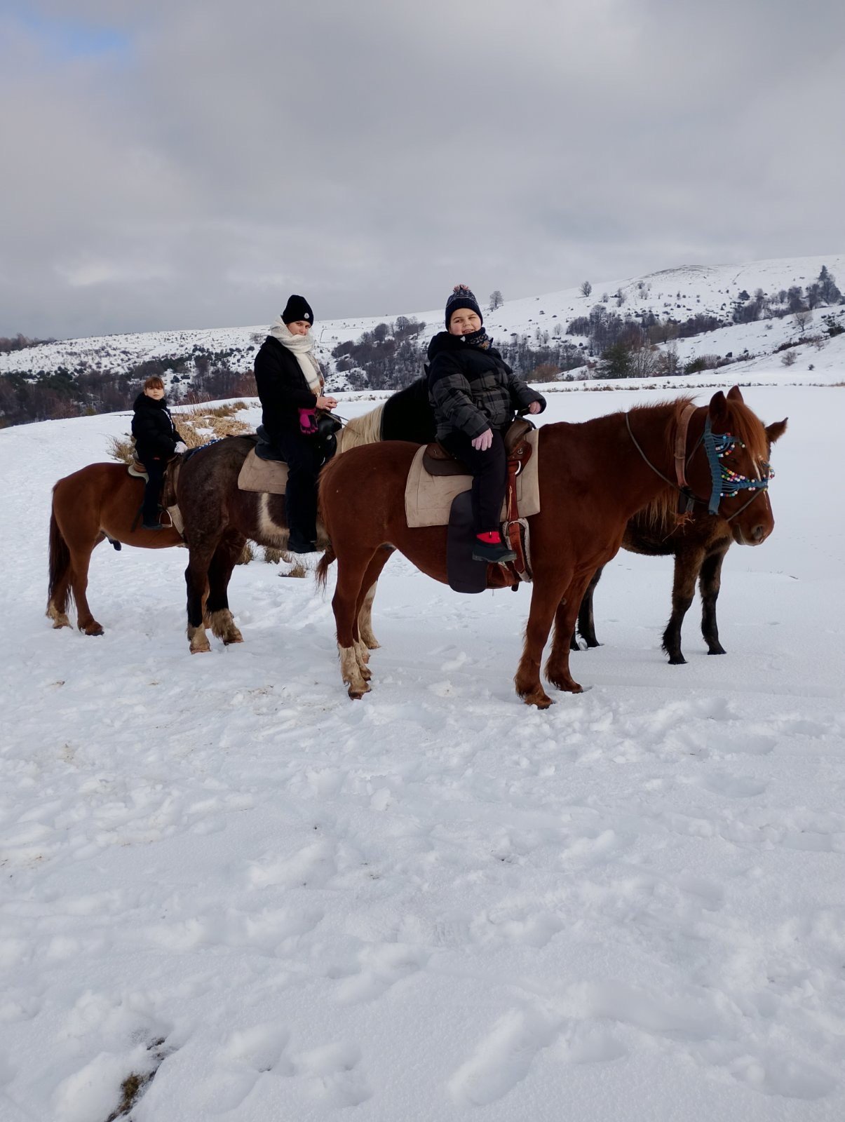 Јавање за почетници