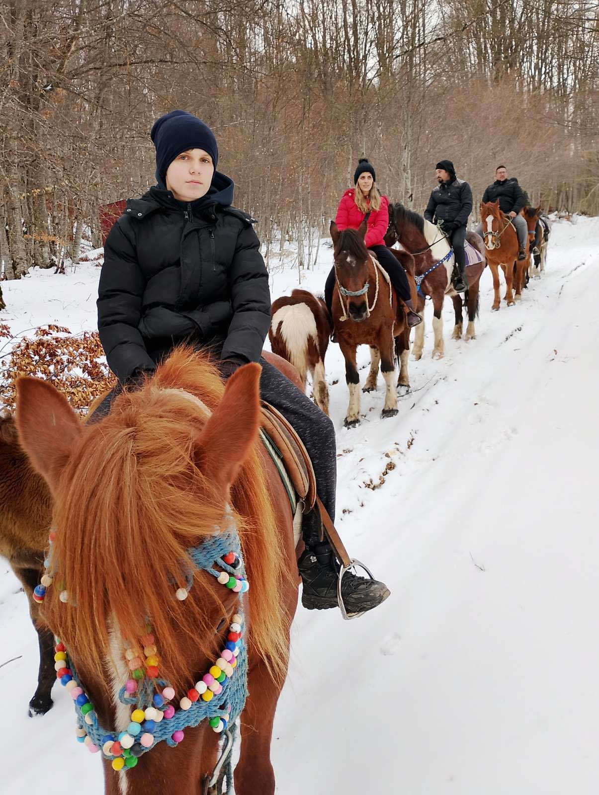 Групни тури со коњи